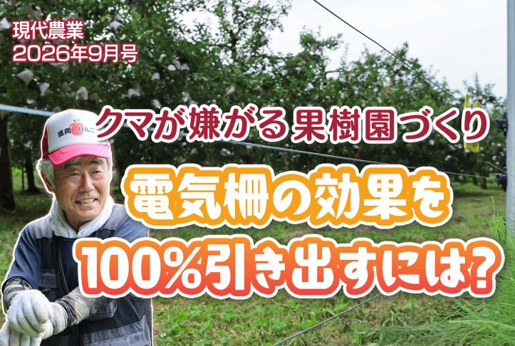 クマ対策