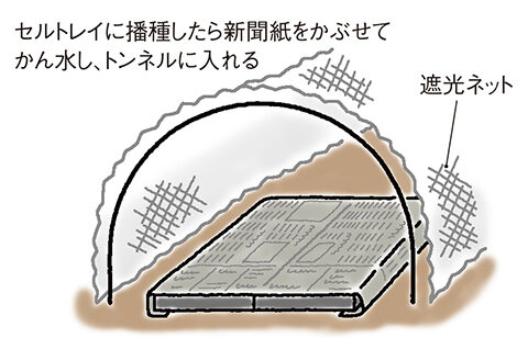 ベタ掛け 新聞遮光ネット
