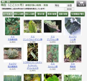 病害虫
