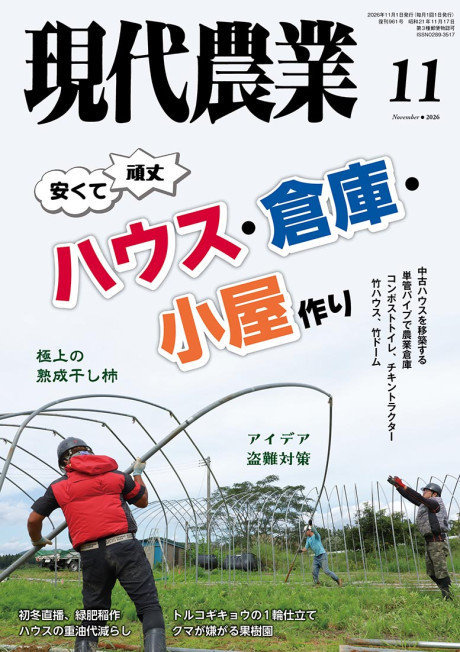 2026年11月号