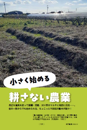 「鳥の巣栽培」のウネ（晩秋の姿）。刈り草を集めて山に盛ったてっぺんをかき分けて苗を定植する。土地は不耕起で平坦なまま（写真提供：今村仁）
