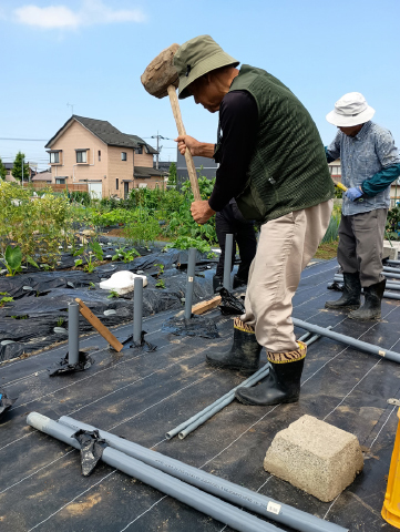 防草シートに等間隔であけた穴へ、長さ60cm（外径60mm）の塩ビパイプを地下30cmまで打ち込む