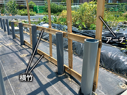 塩ビパイプに「横竹」をボルト留めして、基礎を強化。横竹は竹割器（左ページ下）で6等分にしたもので、アーチや筋交いにも使う