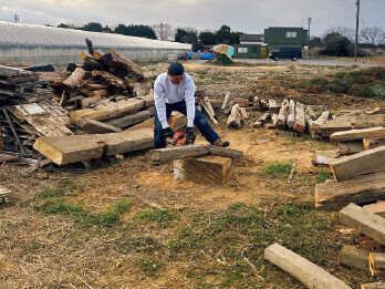 解体屋からもらった木を切る宮下さん。薪は野ざらしでも問題なく燃える