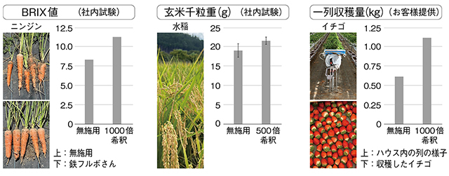 根張り促進と豊かな土づくりで植物を元気に！ 鉄フルボさん（税込・送料別）
