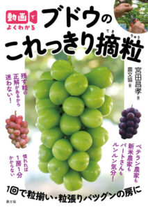 これっきり
