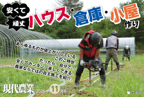 2026年11月号